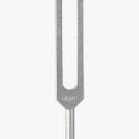 North Forks – Tuning Fork (Heart) North Forks - Tuning Fork (Heart)